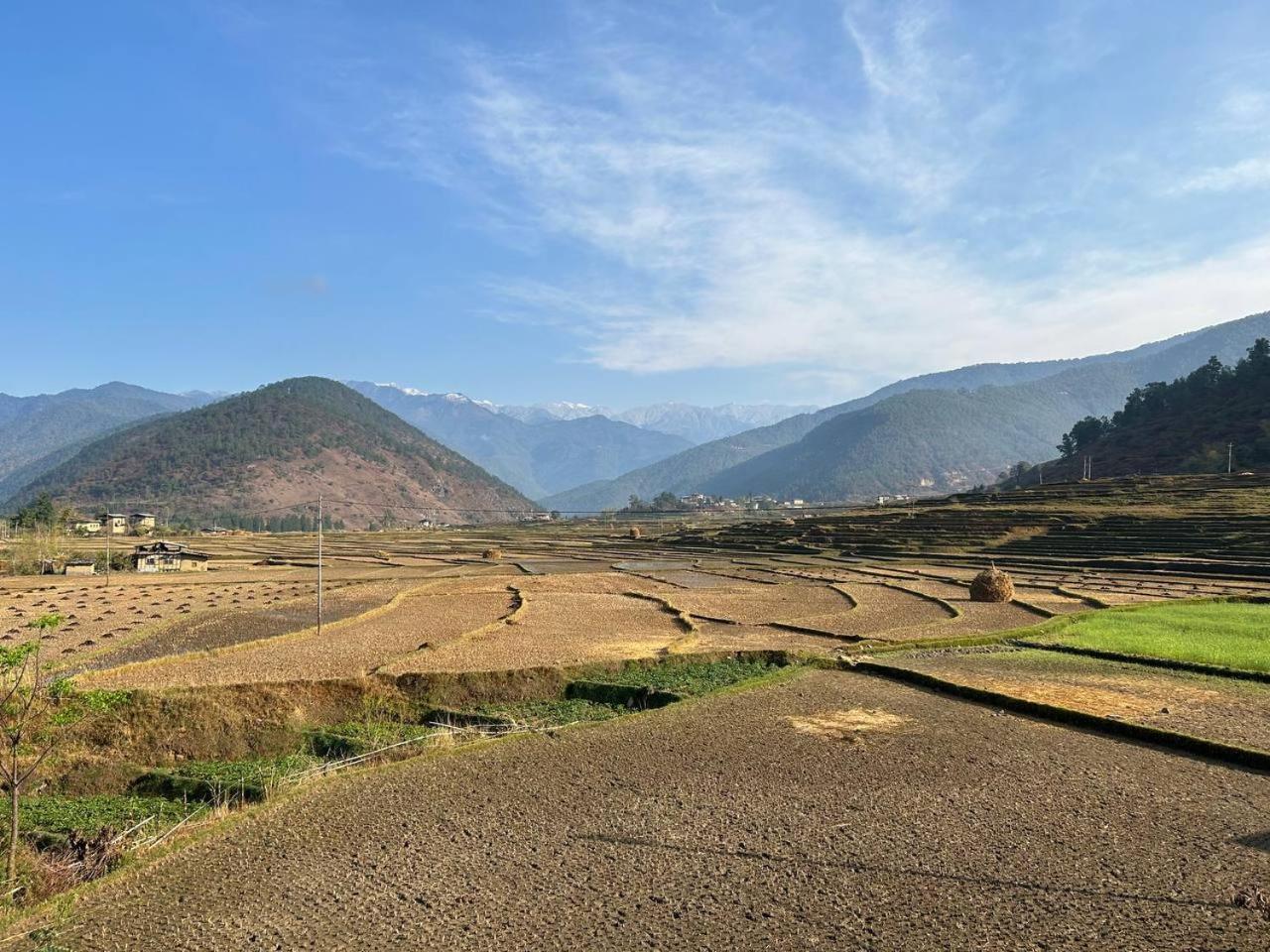 Spirit Village Lodge Punakha Exterior photo